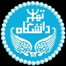 مهدی سیفی پور