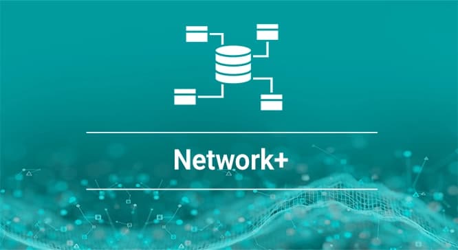 +Network تصویر