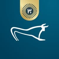 عرفان  طاهری