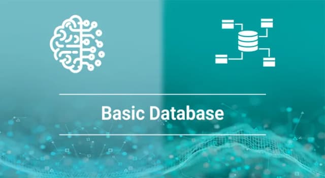 اصول پایگاه داده مقدماتی تصویر