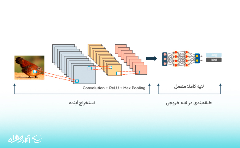 ۱. شبکه‌های عصبی کانولوشن (Convolutional Neural Networks)